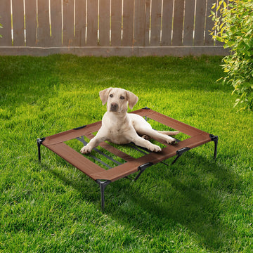 Raised Dog Bed Cooling Elevated Pet Cot with Breathable Mesh for Indoor Outdoor Use Brown, XX Large, 122 x 92 x 23cm