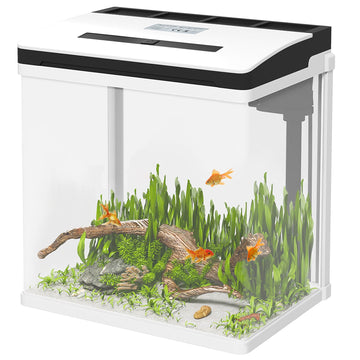 13L Glass Aquarium Fish Tank with Filter, LED Lighting, for Betta, Guppy, Mini Parrot Fish, Shrimp, 29 x 20 x 30.5cm