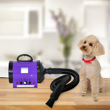 Dog Hair Dryer Pet Grooming Blaster Dryer Blower Adjustable Temperature Speed with 2.1M Flexible Hose 3 Nozzles - Purple