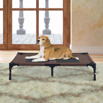 Large Raised Dog Bed Cat Elevated Lifted Cooling Portable Camping Basket Outdoor Indoor Mesh Pet Cot Metal Frame Brown
