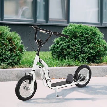 Dual Brakes 12" Metal frame Kick Scooter adjustable black