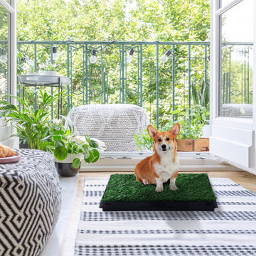 Indoor Pet Dog Toilet Mat Potty Tray Training Grass Restroom with Tray and Loo Pad