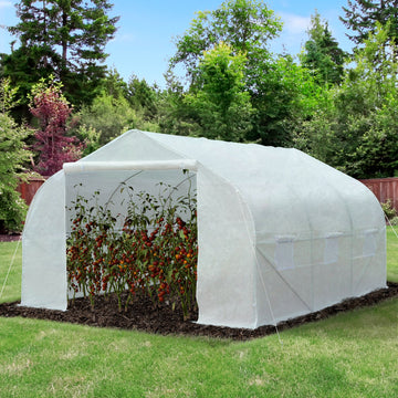 Walk-In Polytunnel Greenhouse Warm House Garden Tunnel Shelter Plant Shed with Door and Windows, Galvanised Steel Frame, 3.5 x 3 x 2m, White