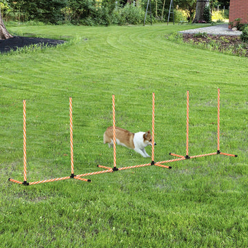 Dog Agility Equipment Pet Outdoor Training Play Run Obstacle w/ 6 Weaves Poles Whistle Carrying Bag