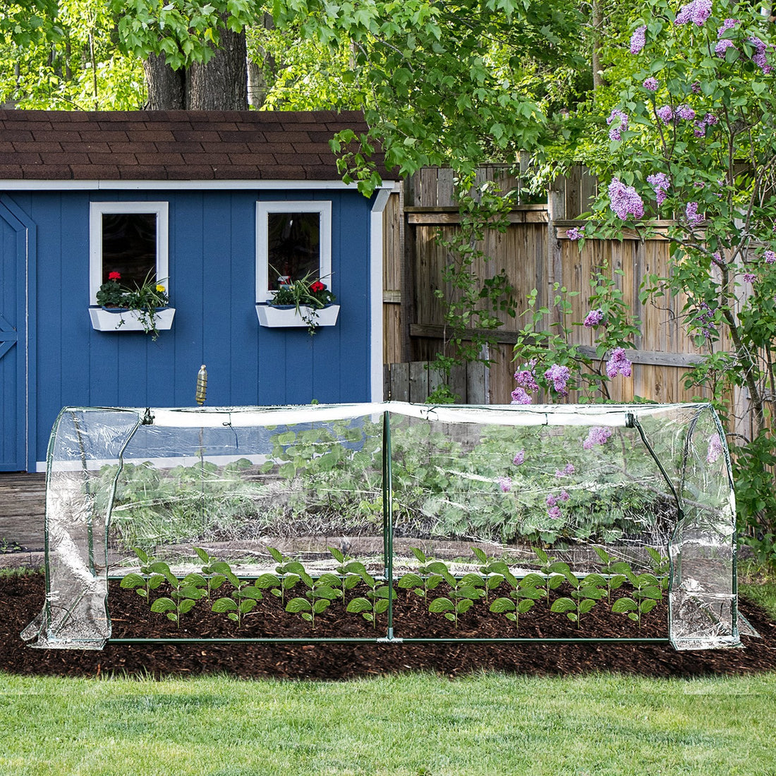 Mini Greenhouse, Small Polytunnel Green House with Zipped Doors, Steel Frame for Garden Patio, 250 x 100 x 80cm, Clear