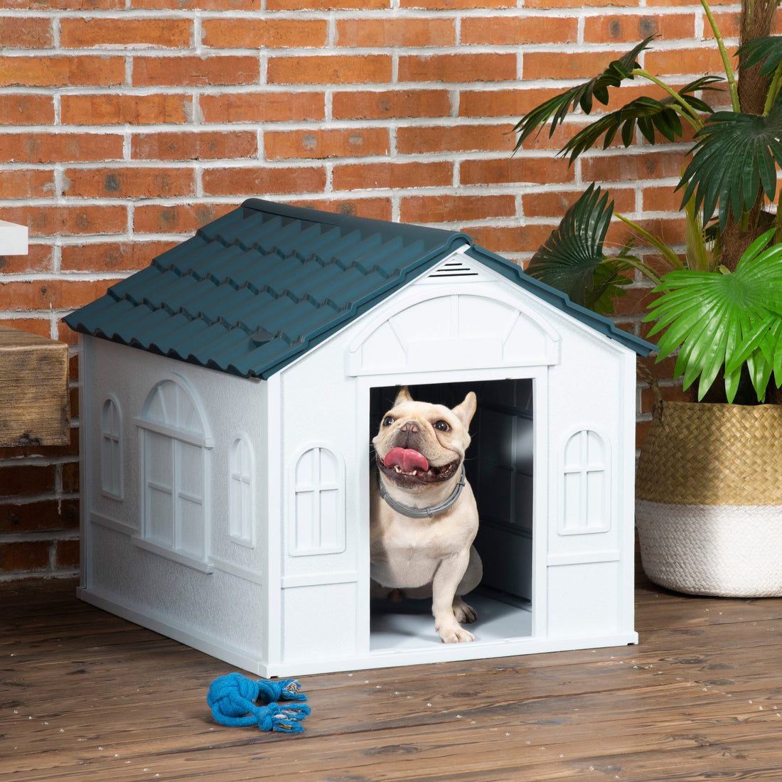Plastic Weather-Resistant Dog House, for Indoors and Outdoors, Medium Dogs - White and Blue