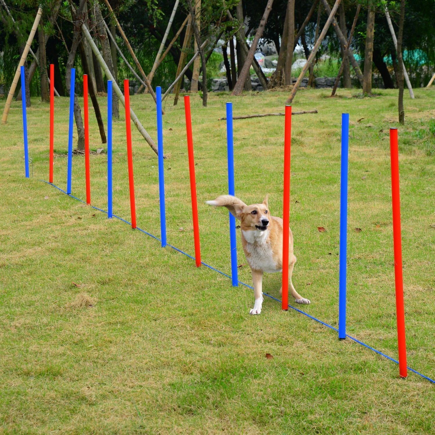 Pet Agility Training Equipment Dog Play Run Obedience Training Set Adjustable (Poles)