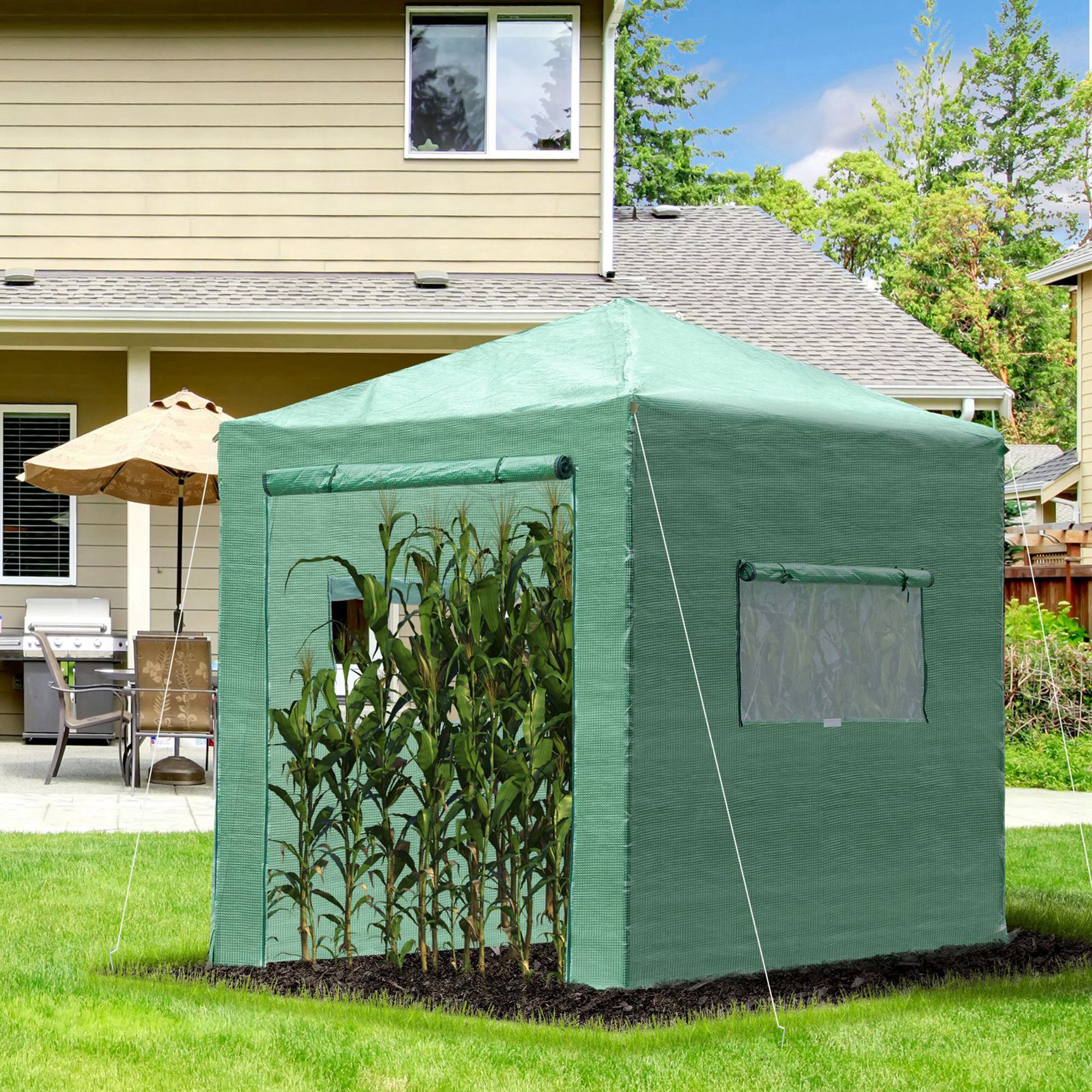 Pop-up Small Greenhouse, Outdoor Walk-in Tomato Greenhouse with Carrying Bag, PE Cover, Steel Frame, Green, 2.4L x 1.8W x 2.4H m