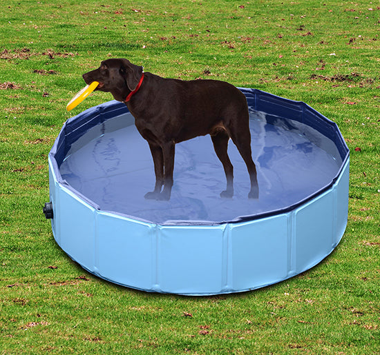 Foldable Dog Paddling Pool Pet Cat Swimming Pool Indoor/Outdoor Collapsible Summer Bathing Tub Shower Tub Puppy Washer (Φ120 × 30H cm, Blue)