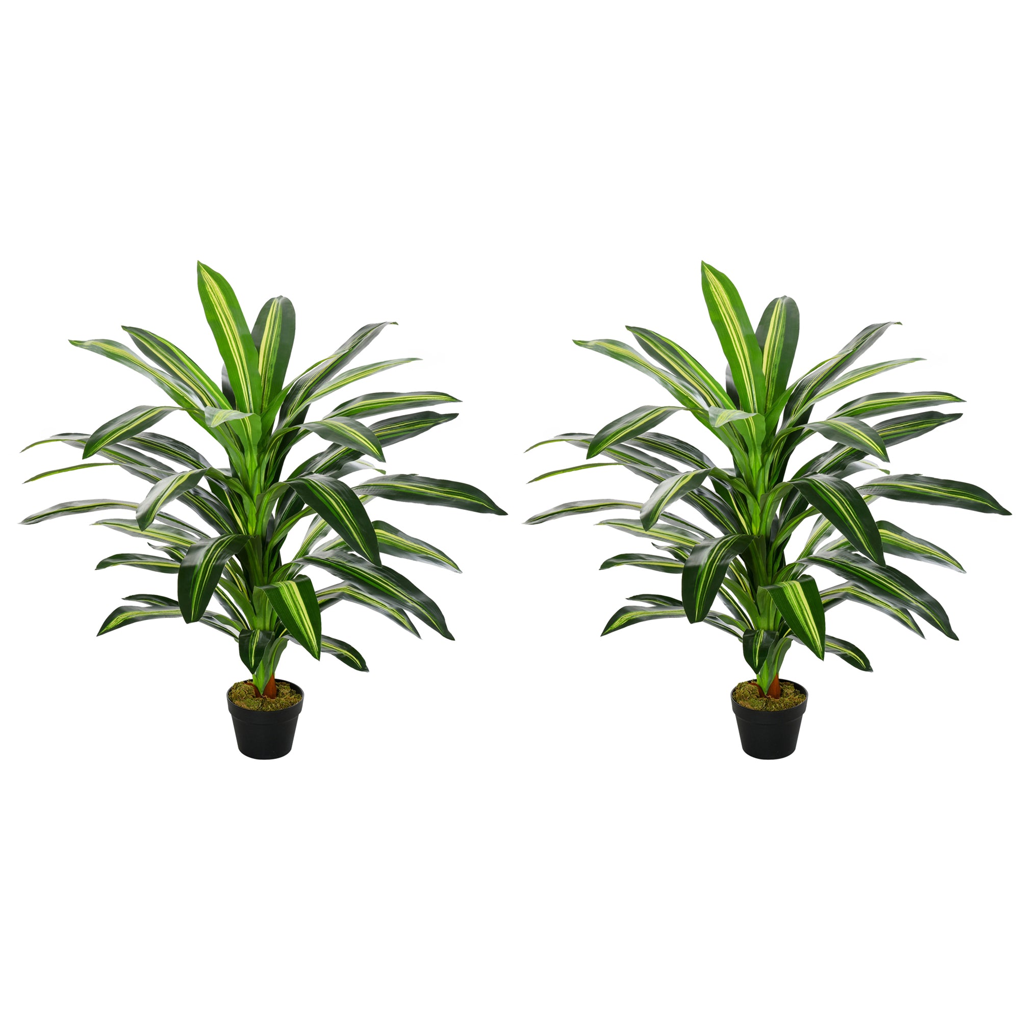 Set of Two Artificial Dracaena Plants
