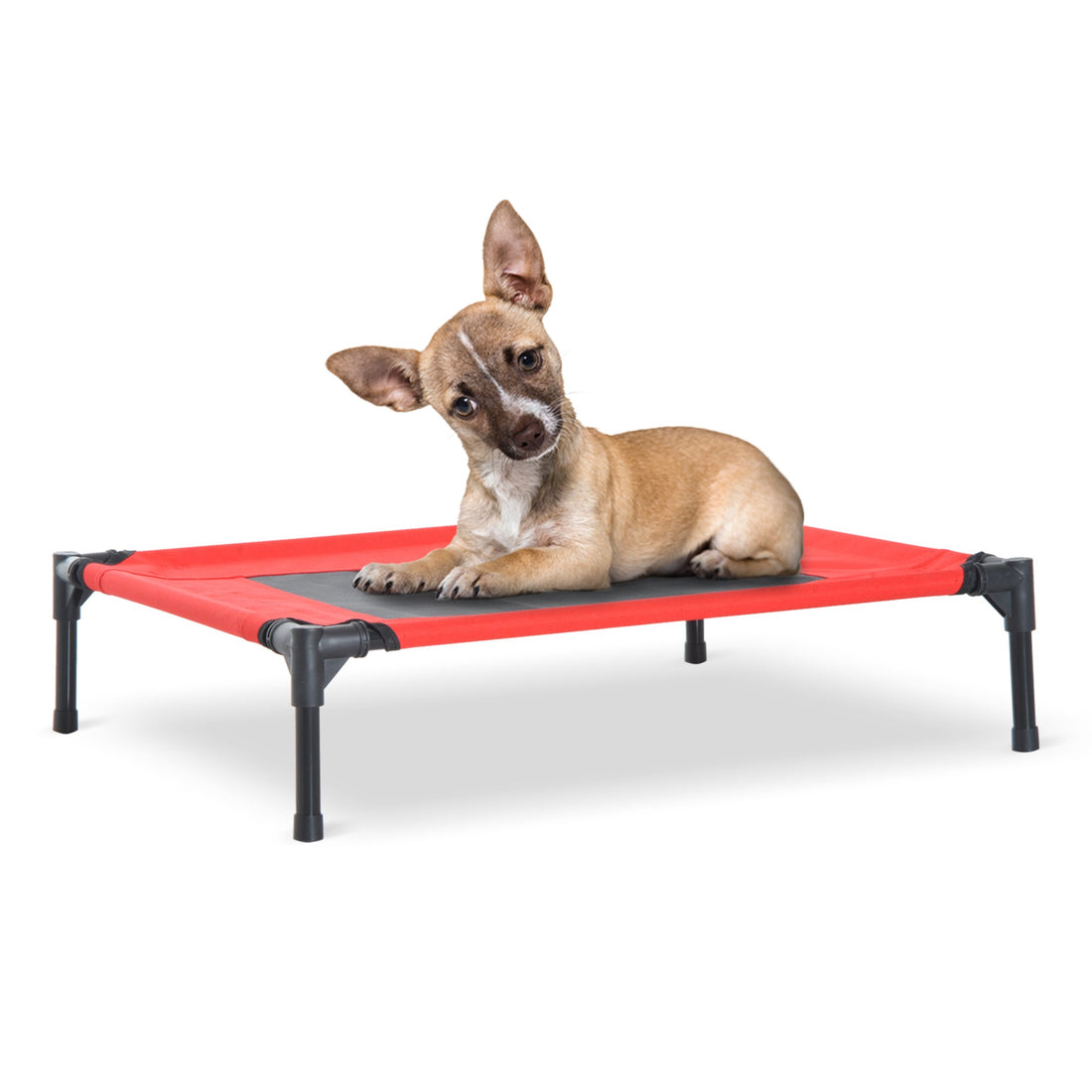Raised Dog Bed Cat Elevated Lifted Portable Camping w/ Metal Frame Black and Red (Medium)