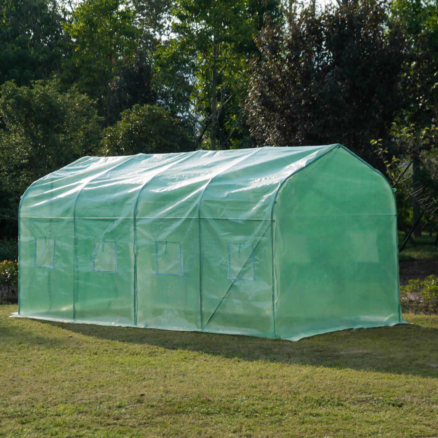 Polytunnel Greenhouse with Windows and Door, Walk in Greenhouse for Garden, Backyard (4 x 2 M)