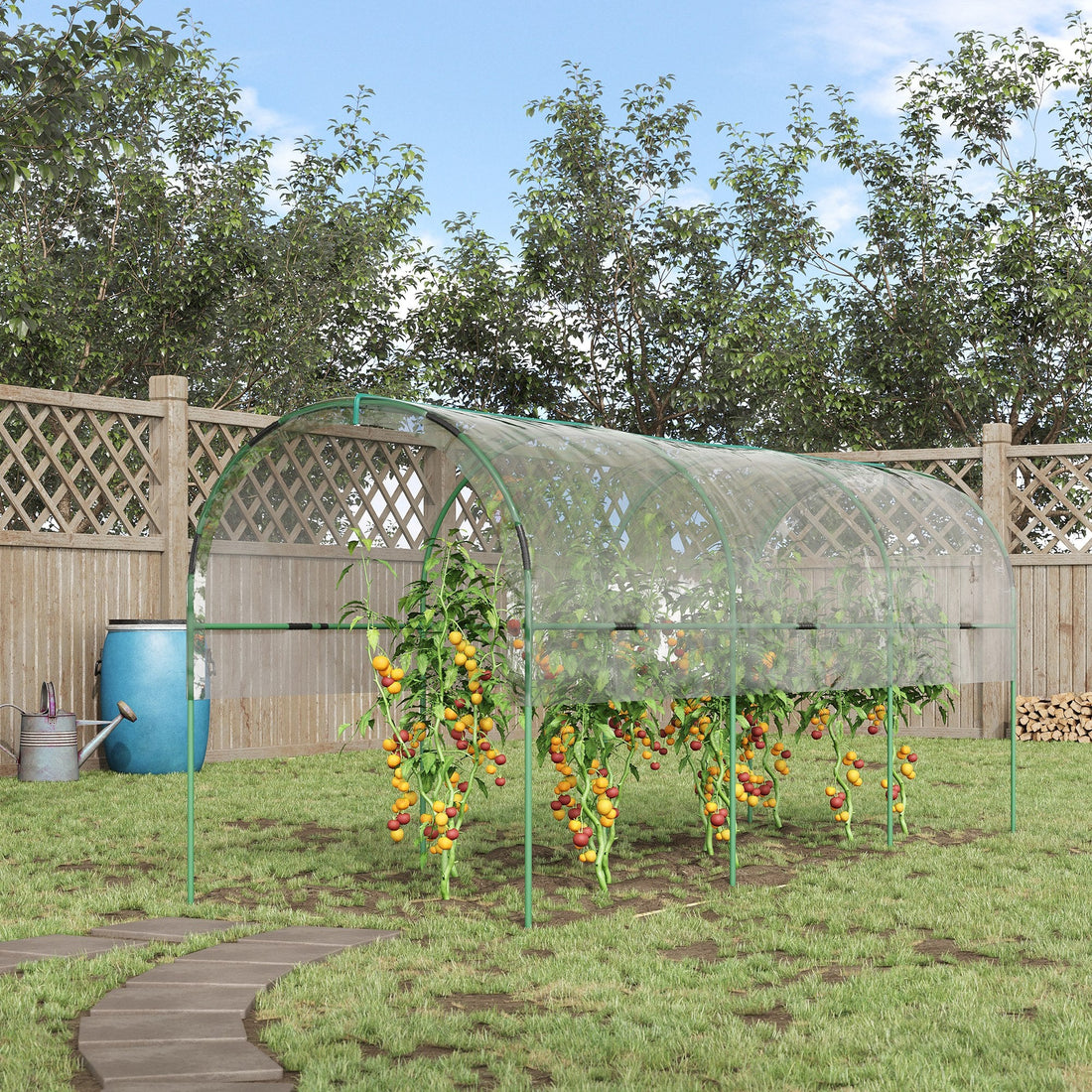 Tunnel Tomato Greenhouse with 4 Hoops and Top Tap, Pointed Bottom and Guy Ropes, 400 x 123 x 171 cm, Clear