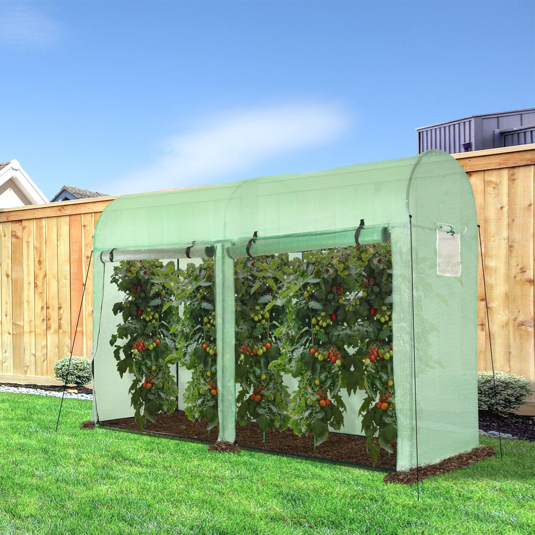 Walk-in Greenhouse, Tomato Greenhouse with Double Doors & 4 Windows, Garden Plant Growth Green House with PE Cover, Steel Frame, Green, 3 x 1 x 2 m