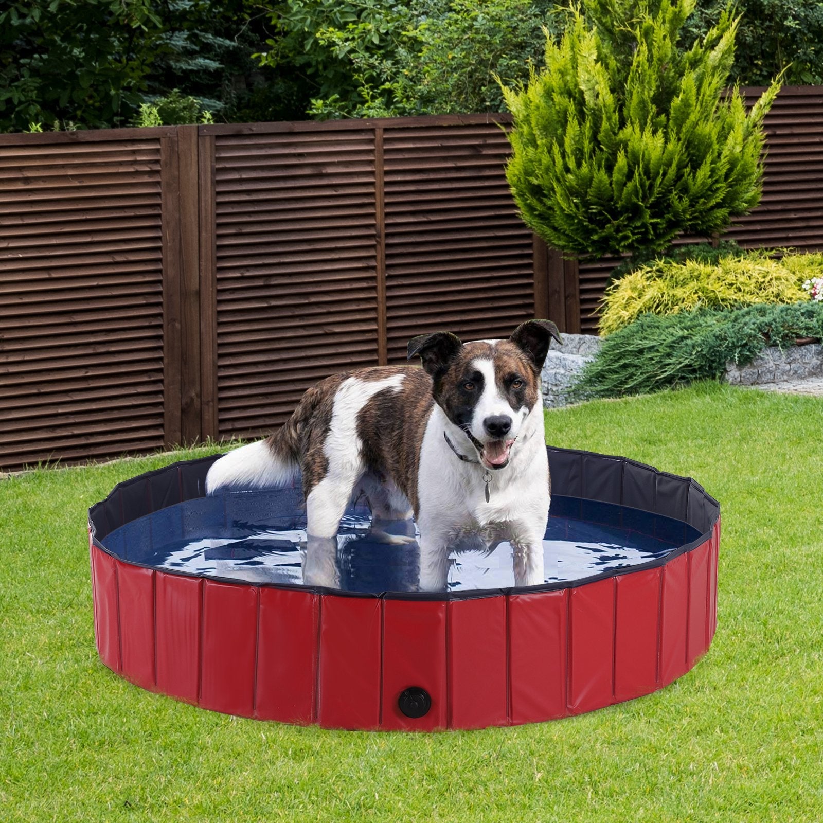 Foldable Dog Paddling Pool Pet Cat Swimming Pool Indoor/Outdoor Collapsible Summer Bathing Tub Shower Tub Puppy Washer (Φ120 × 30H cm, Red)
