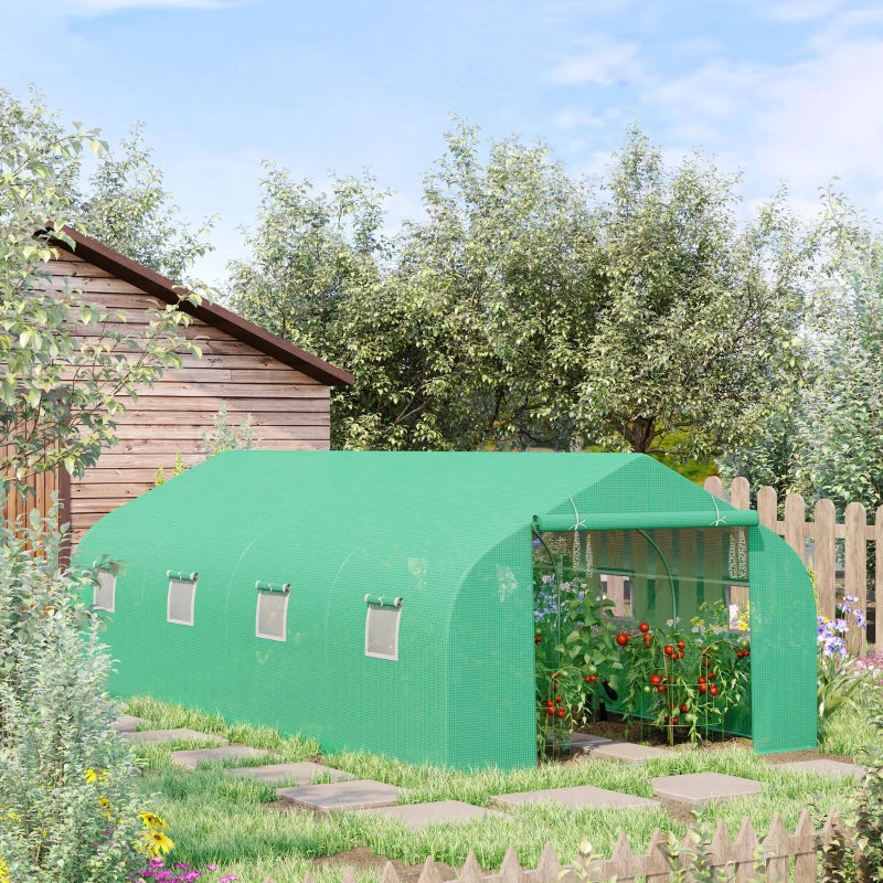 Polytunnel Greenhouse with Windows and Door, Walk in Greenhouse for Garden, Backyard (6 x 3 M)