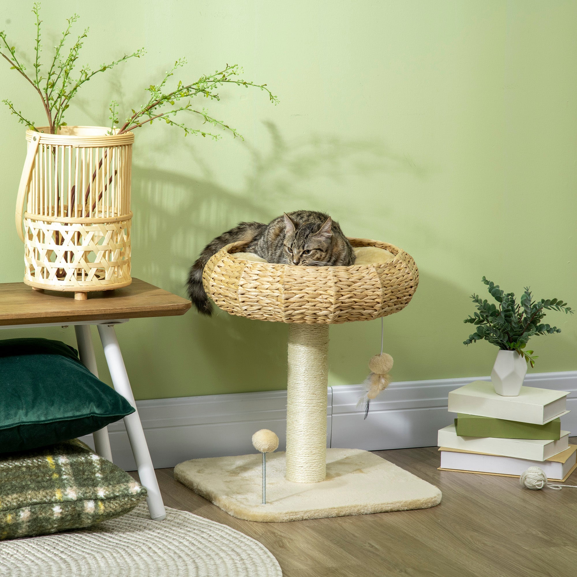 51cm Cat Tree Kitten Tower, with Sisal Scratching Post, Top Bed, Toy Ball